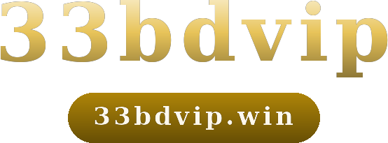 33bdvip logo